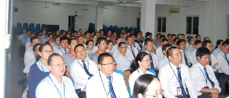 深圳大陽集團流程E化、智能決策BI”智造信息化“案例