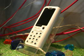 5號館聯(lián)想產(chǎn)品秀 2005年中國國際通信設(shè)備技術(shù)展的機械設(shè)備租賃亮點